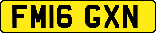 FM16GXN