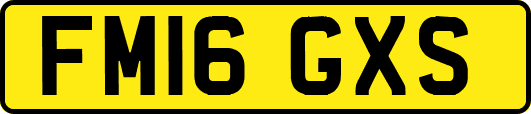 FM16GXS