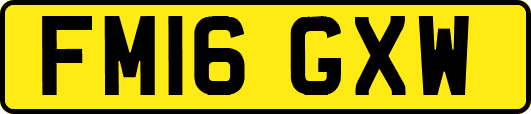 FM16GXW