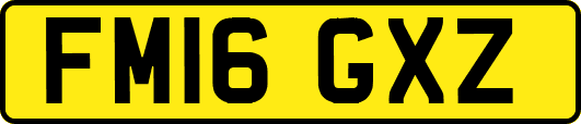 FM16GXZ