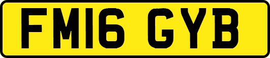 FM16GYB