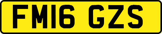 FM16GZS