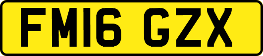 FM16GZX