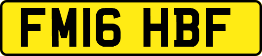 FM16HBF