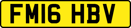 FM16HBV