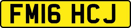 FM16HCJ