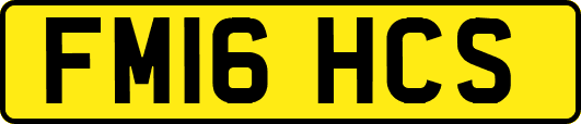 FM16HCS