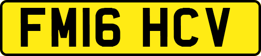 FM16HCV