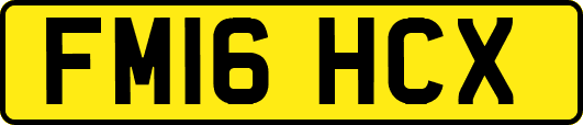 FM16HCX