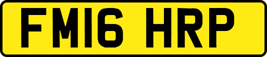 FM16HRP