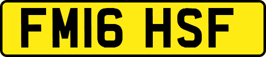 FM16HSF