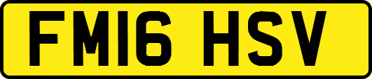 FM16HSV