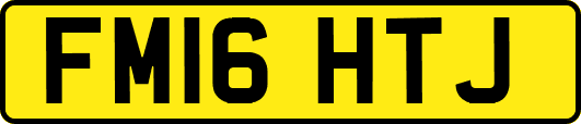 FM16HTJ