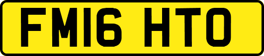 FM16HTO