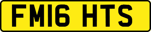 FM16HTS