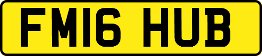 FM16HUB