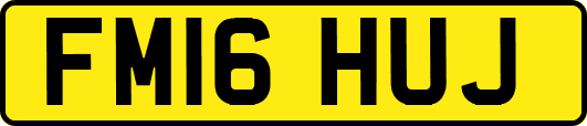 FM16HUJ