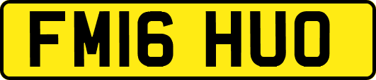 FM16HUO