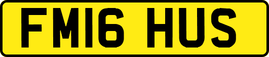 FM16HUS