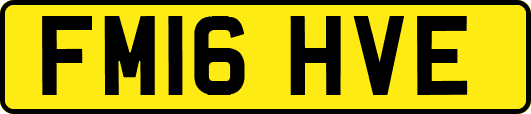 FM16HVE