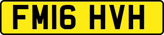 FM16HVH
