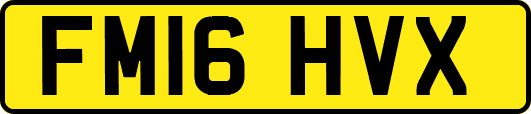 FM16HVX