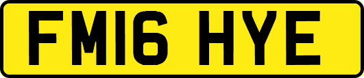FM16HYE