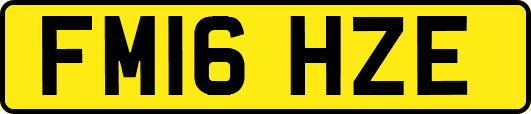 FM16HZE