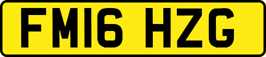 FM16HZG