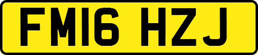 FM16HZJ