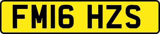 FM16HZS