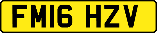 FM16HZV