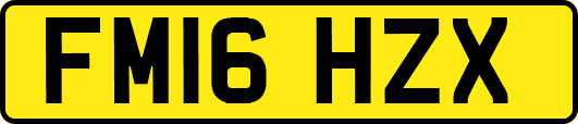 FM16HZX