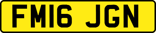 FM16JGN