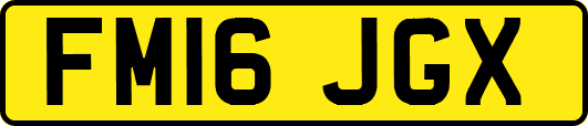 FM16JGX