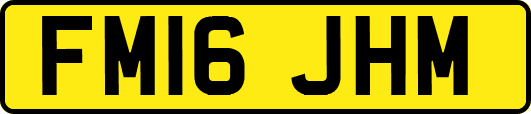 FM16JHM
