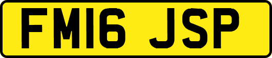 FM16JSP