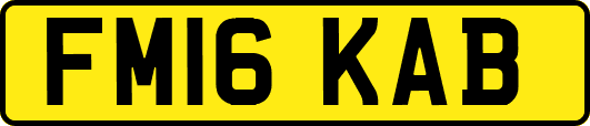 FM16KAB