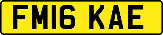 FM16KAE