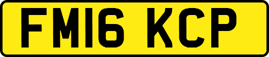 FM16KCP