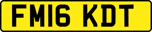 FM16KDT