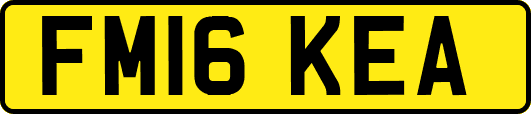 FM16KEA