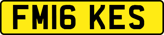 FM16KES