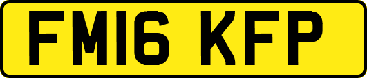 FM16KFP