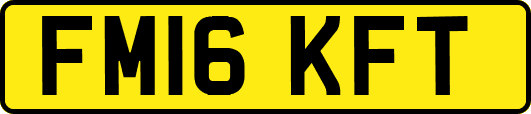 FM16KFT