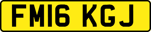FM16KGJ