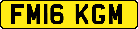 FM16KGM