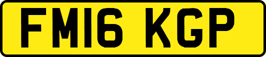 FM16KGP