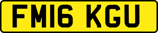 FM16KGU