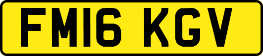 FM16KGV